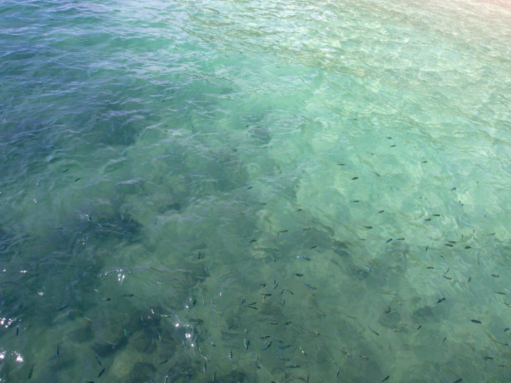 Kleine Fische vor Pulau Beras Basah, Langkawi