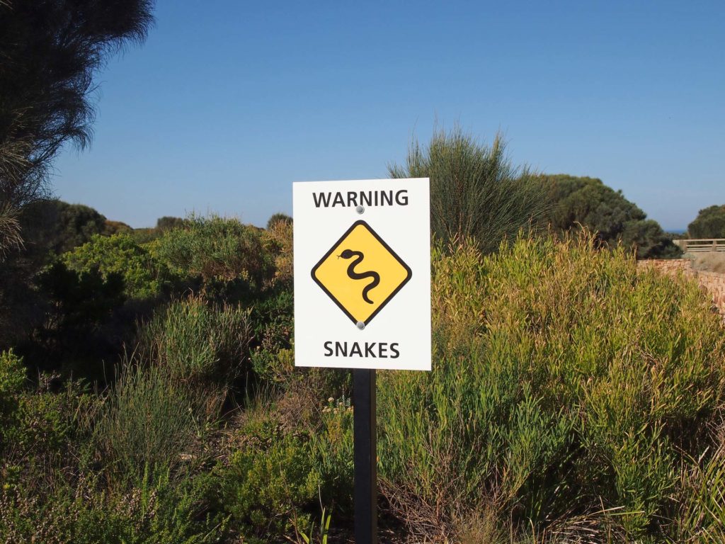 Schlangenwarnung in Australien an der Great Ocean Road