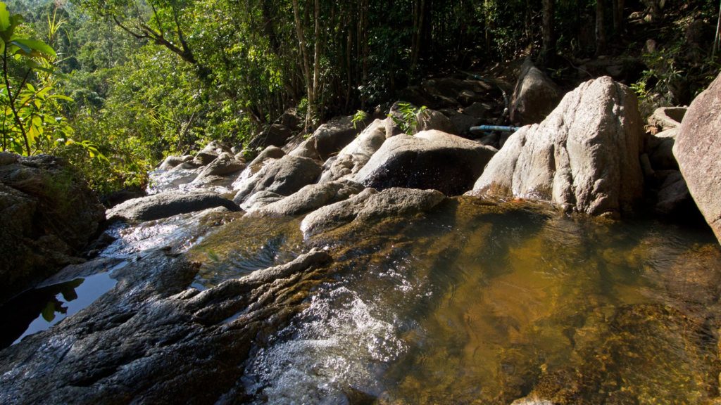 Oben auf dem Phaeng Wasserfall in Koh Phangan