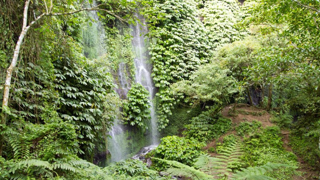 Jungle and waterfall in Lombok, Indonesia