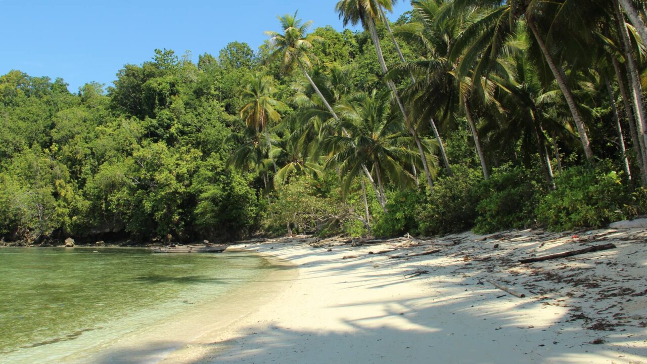 Dream beach on one of the Togian Islands near Sulawesi