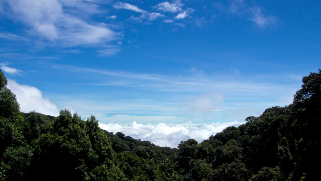 Above the clouds in Doi Inthanon National Park
