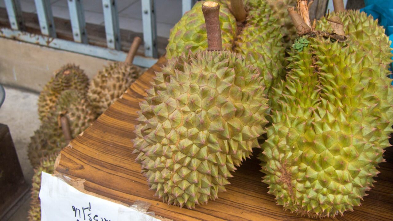 Durian, King of Fruits, Chantaburi