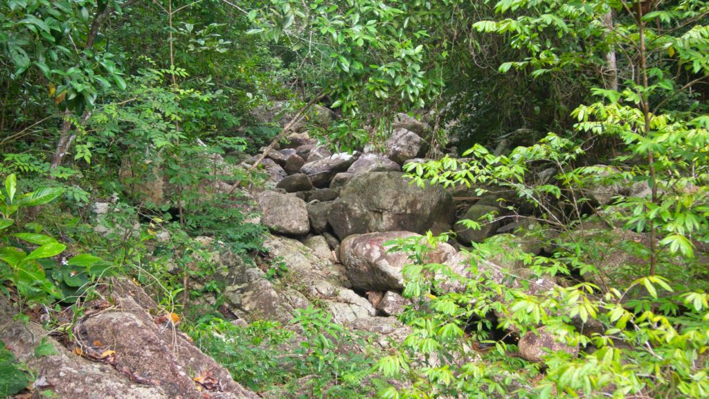 Rocks in the jungle on the trek to Khao Ra, Koh Phangan