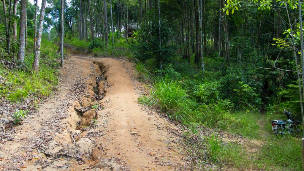 Der Weg in den Dschungel zum Khao Ra Gipfel auf Koh Phangan