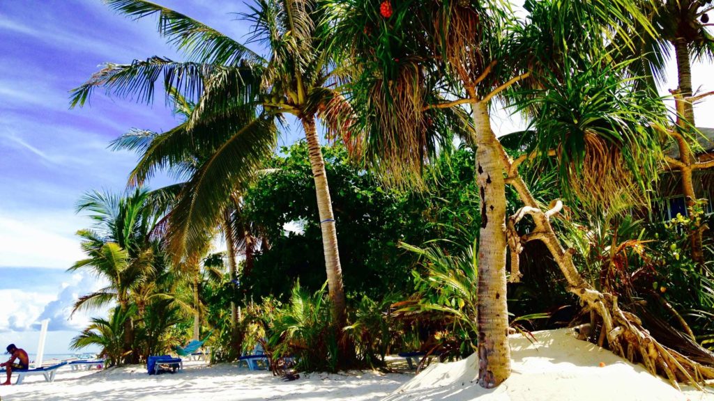 Strand des Exotic Island Dive & Beach Resorts auf Malapascua