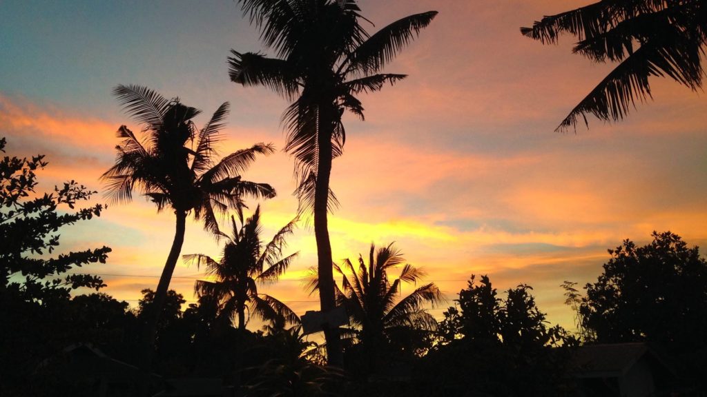Sonnenuntergang mit Palmen auf Malapascua