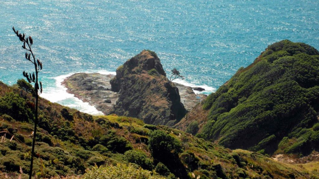 Aussicht auf Cape Reinga in Neuseeland