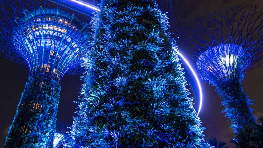 The illuminated Supertrees in the Gardens By The Bay at night