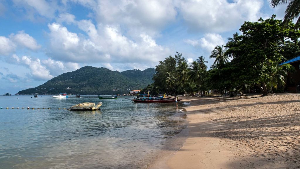 Mae Haad Bay beach in the main town of Koh Tao