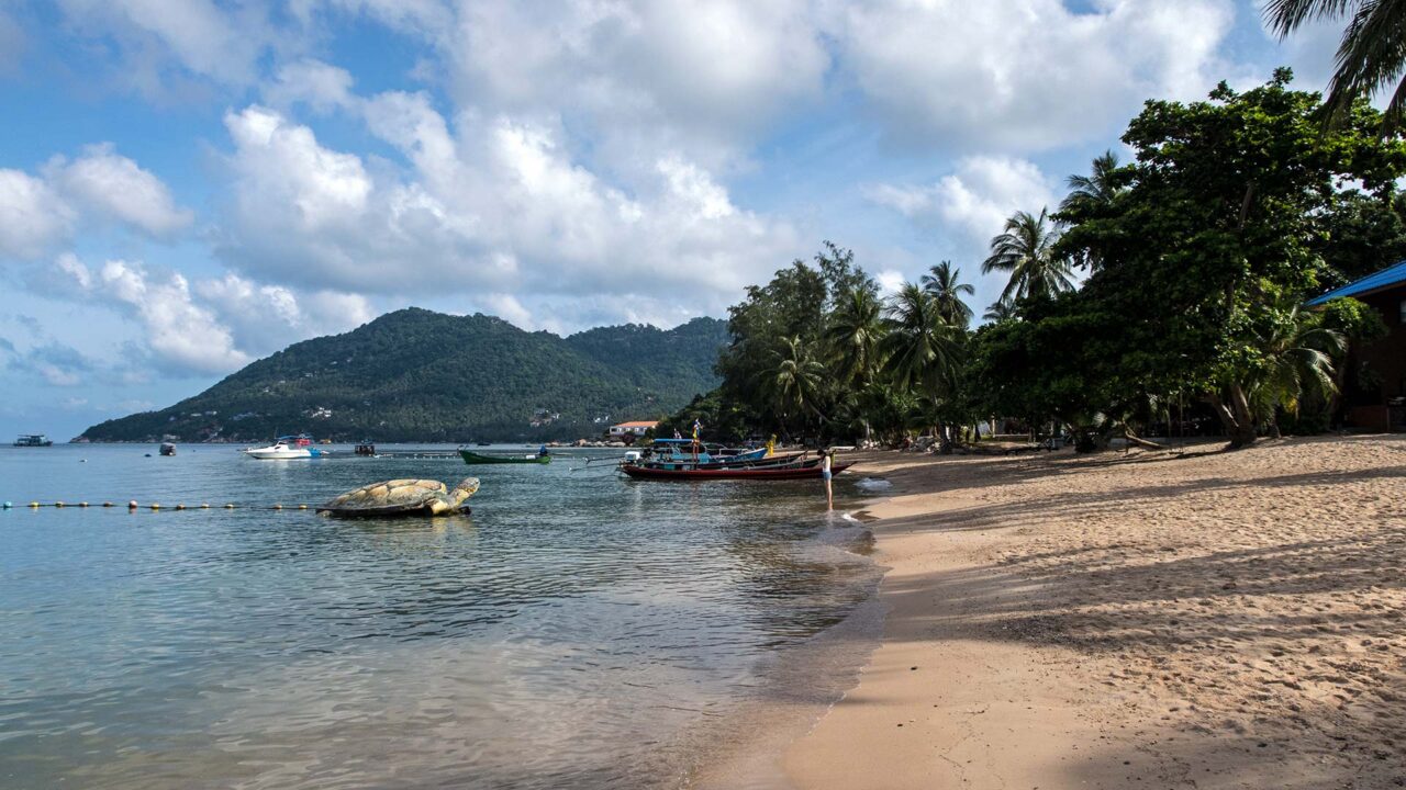 Der Strand der Mae Haad Bay am Hauptort von Koh Tao