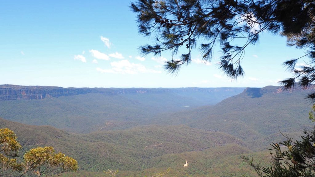 Aussicht im Blue Mountains National Park in der Nähe von Sydney