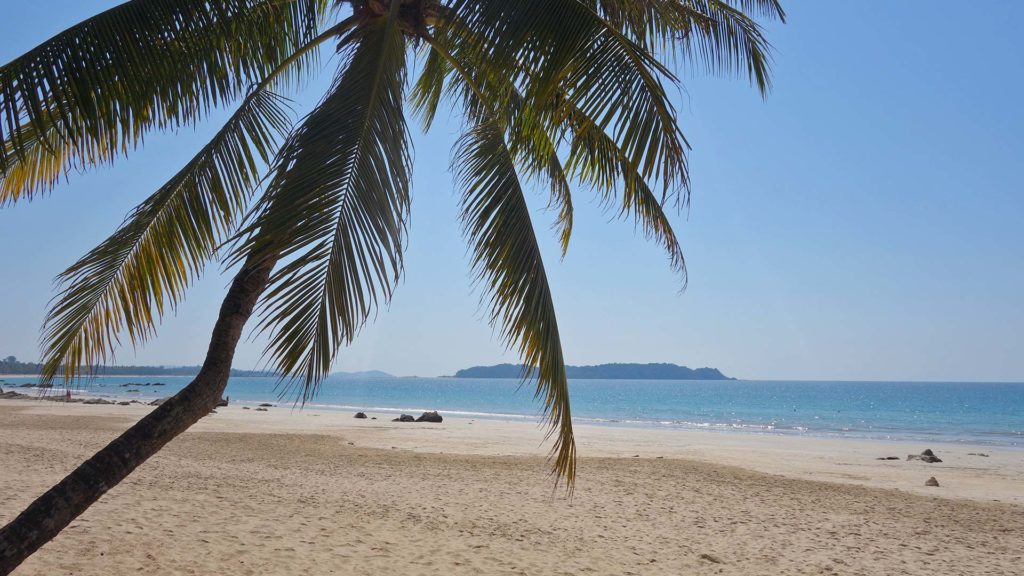 Palmen am Ngapali Beach in Myanmar