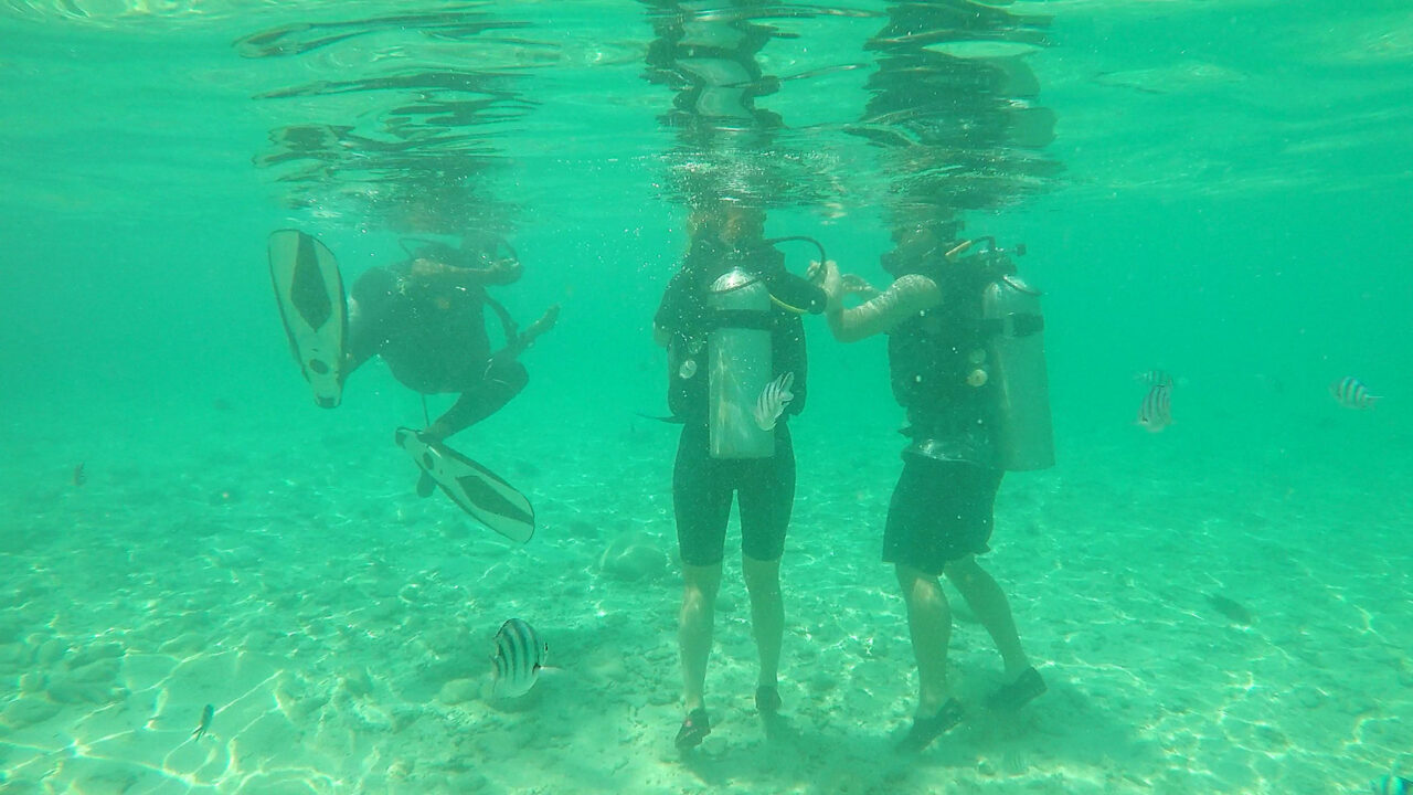 Fische und Taucher vor Koh Nang Yuan