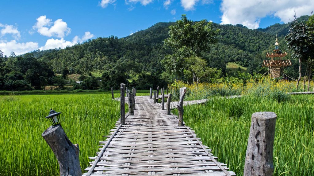 Die Bamboo Bridge in Pai