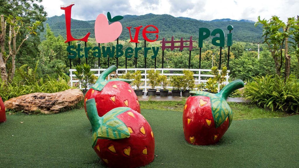 Love Strawberry Cafe in Pai