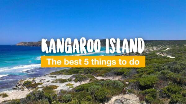 Kangaroo Island - the best 5 things to do