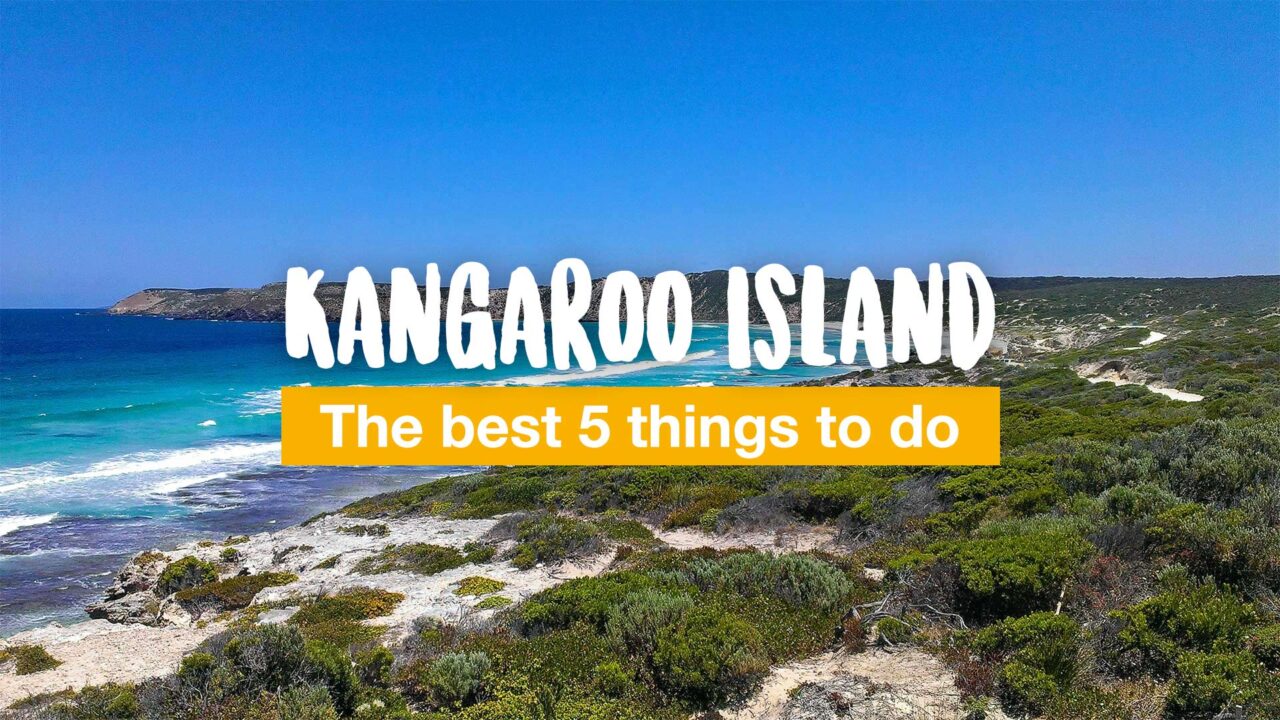 Kangaroo Island - the best 5 things to do