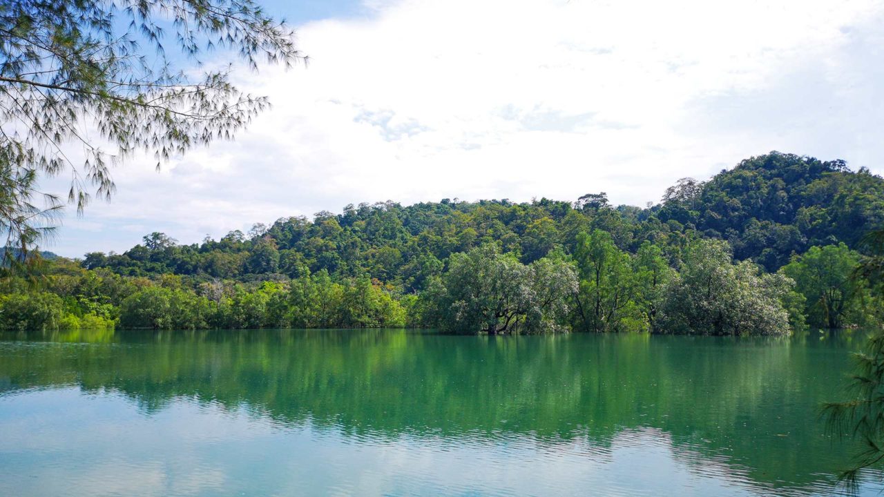 View of the mangroves of Langkawi