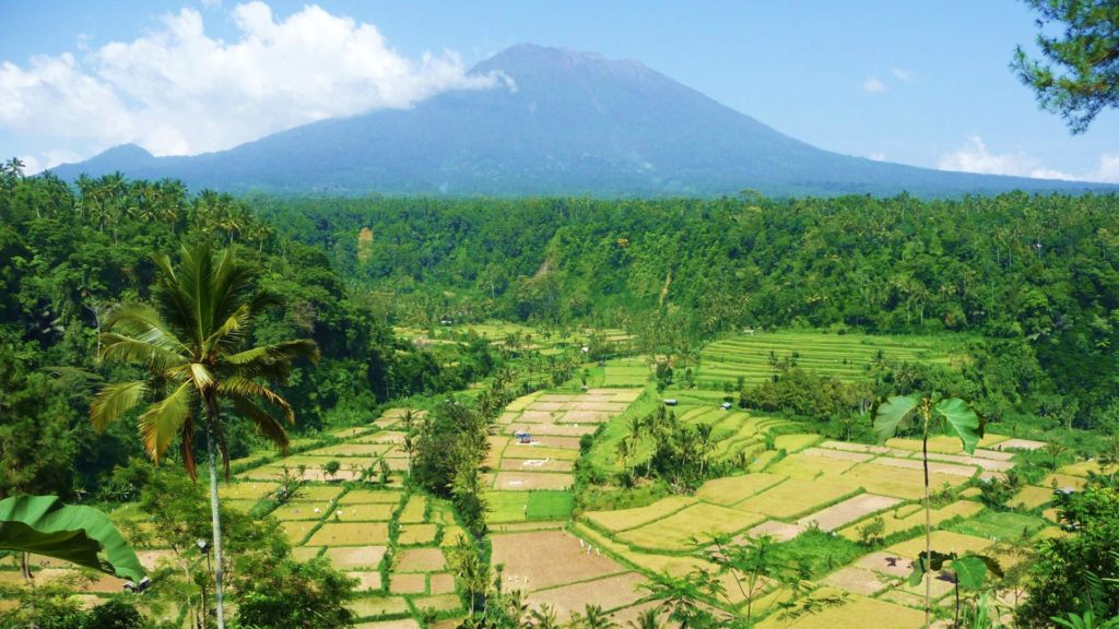 Aussicht auf den Mount Batur und grüne Reisterrassen auf Bali