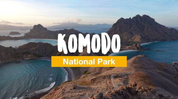 Komodo: diving and snorkeling safari in the Komodo National Park