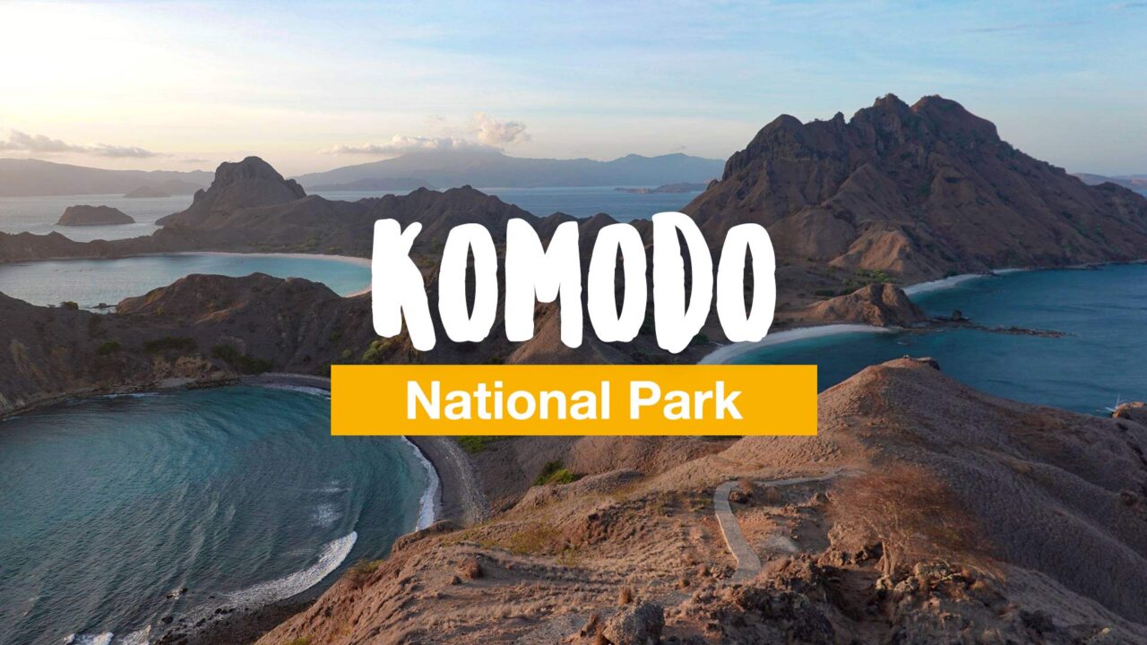Komodo: diving and snorkeling safari in the Komodo National Park