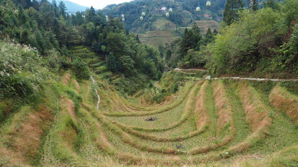 Longsheng rice terraces, China