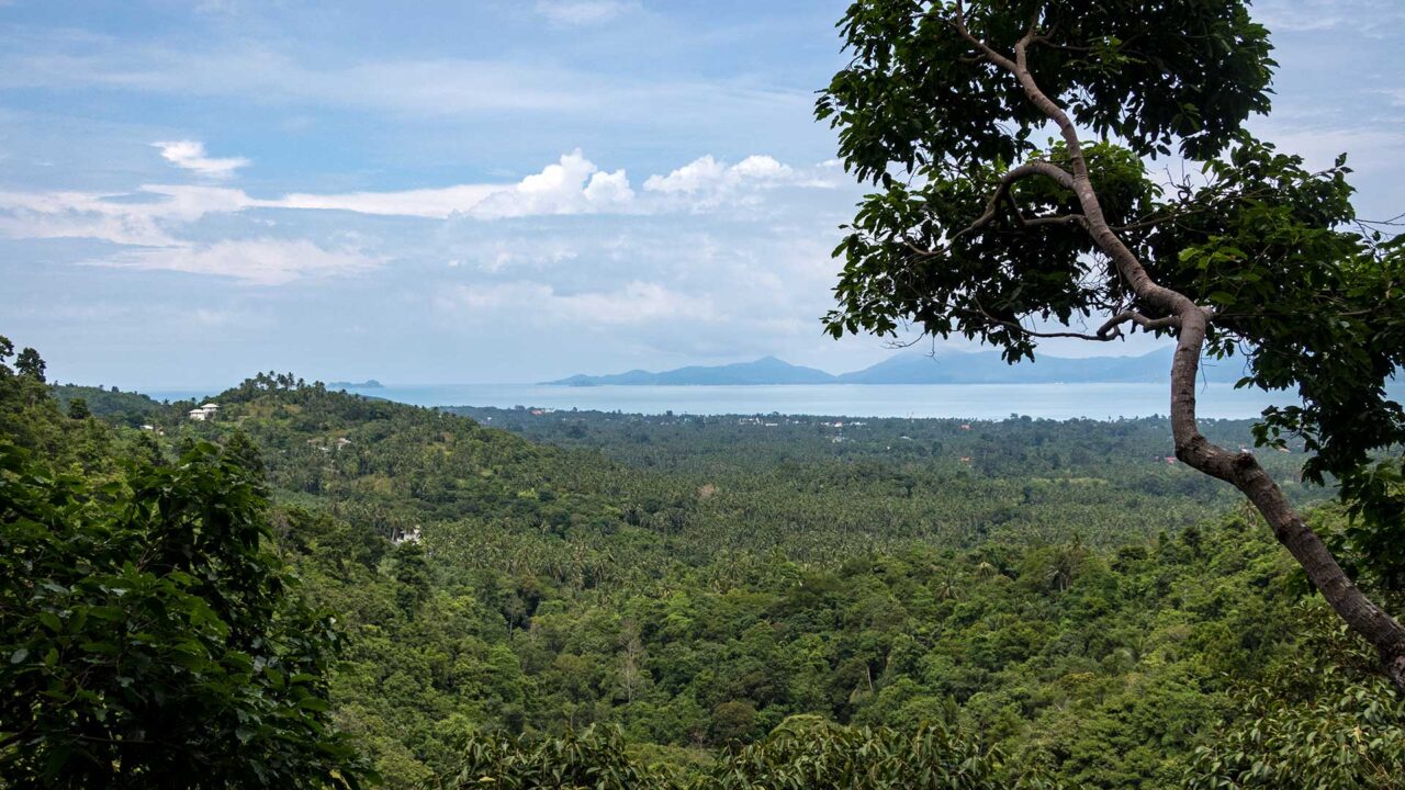 Aussicht vom Tree House Coffee auf Maenam und Koh Phangan