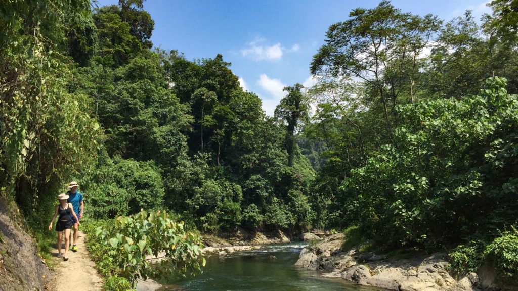 Wanderer im Dschungel um Bukit Lawang, Sumatra (Indonesien)