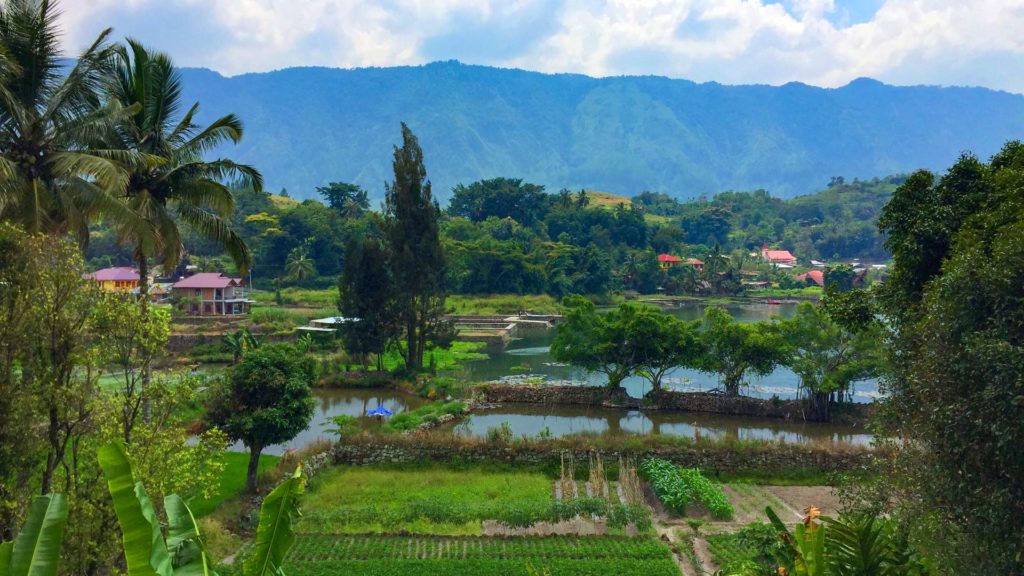 Traumhaft grüne Umgebung in der Nähe vom Toba See (Lake Toba)