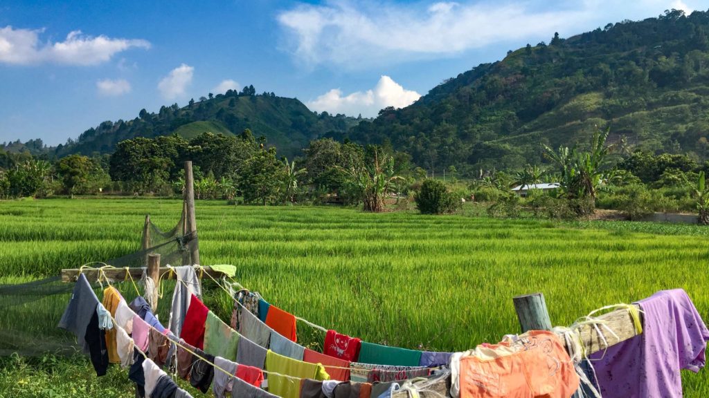 Reisfeld in einem Dorf auf Sumatra, Indonesien