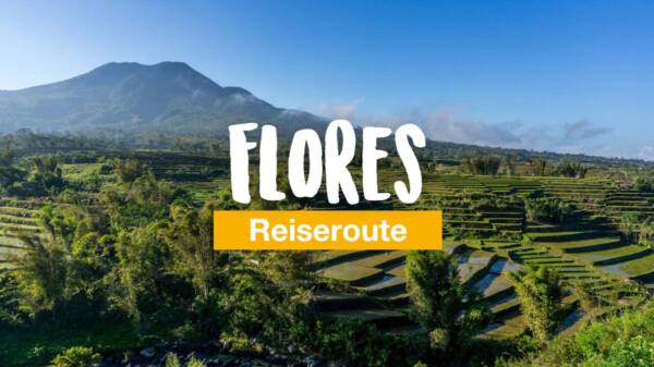 Reiseroute Flores - alle Highlights und Infos