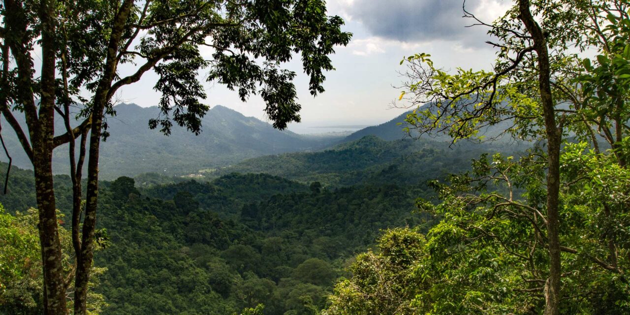 Aussicht vom Pusuk Pass (Pusuk Monkey Forest) auf die Sire Halbinsel, Lombok