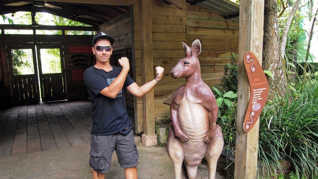 Marcel auf dem Weg zu den Kängurus, Singapur Zoo