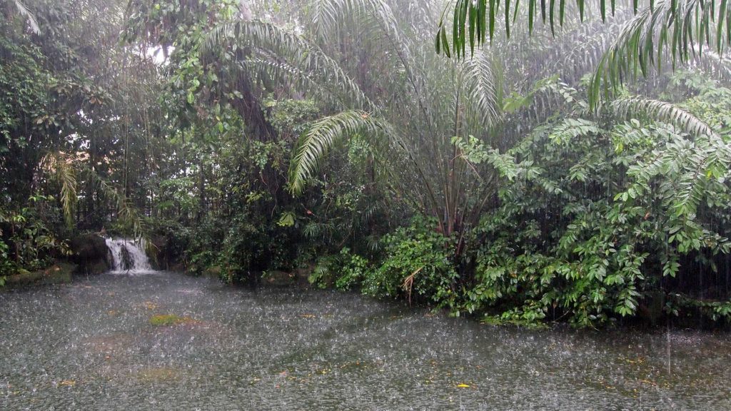 When the rain came in the Singapore Zoo