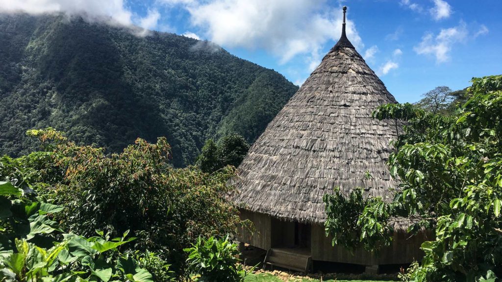 Eines der traditionellen Wae Rebo Häuser in den Bergen von Flores