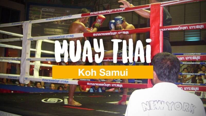 Muay Thai auf Koh Samui