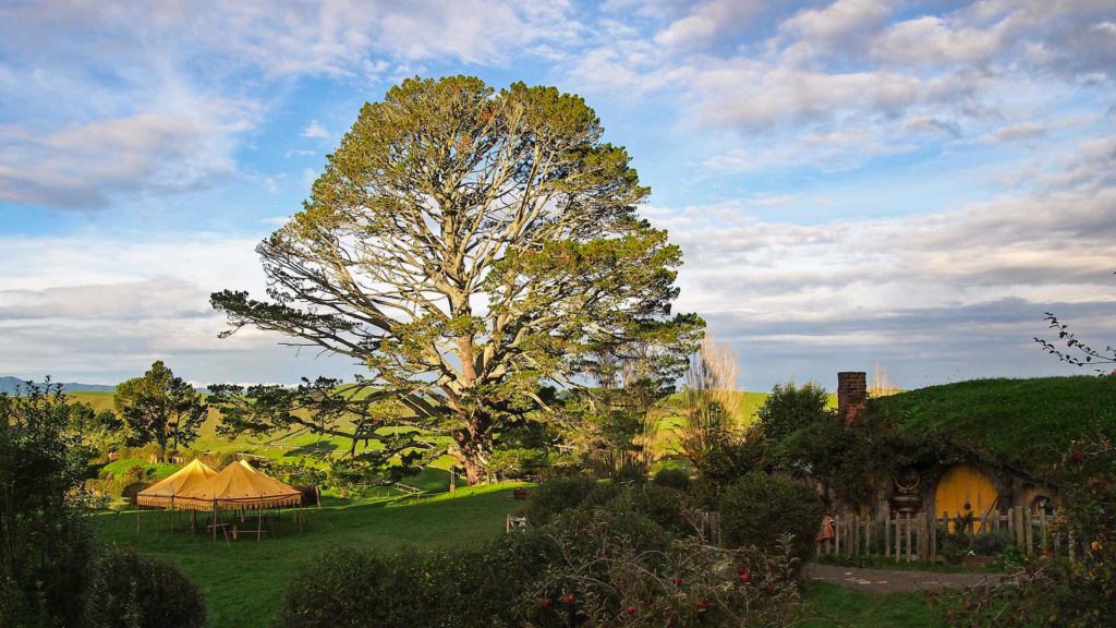 The Hobbits' festive tree, Hobbiton Movie Set Tours in Matamata, location of Lord of the Rings and The Hobbit, New Zealand