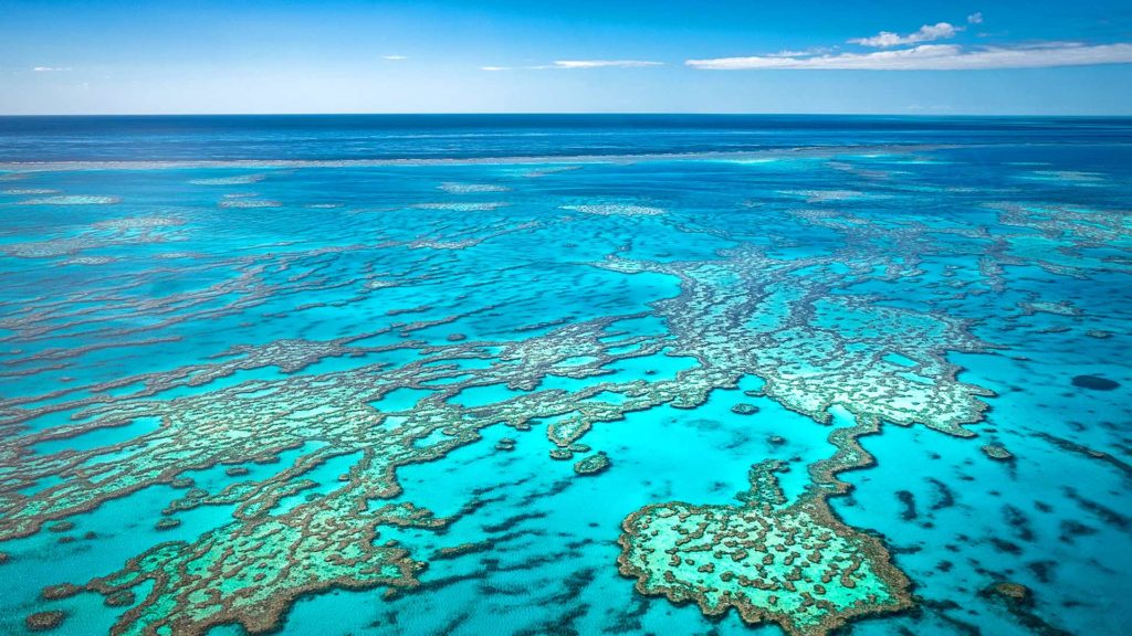 Aussicht über das Great Barrier Reef vom oben, Cairns