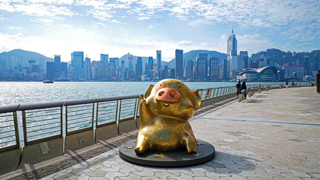 Golden pig on the Avenue of Stars in Hong Kong