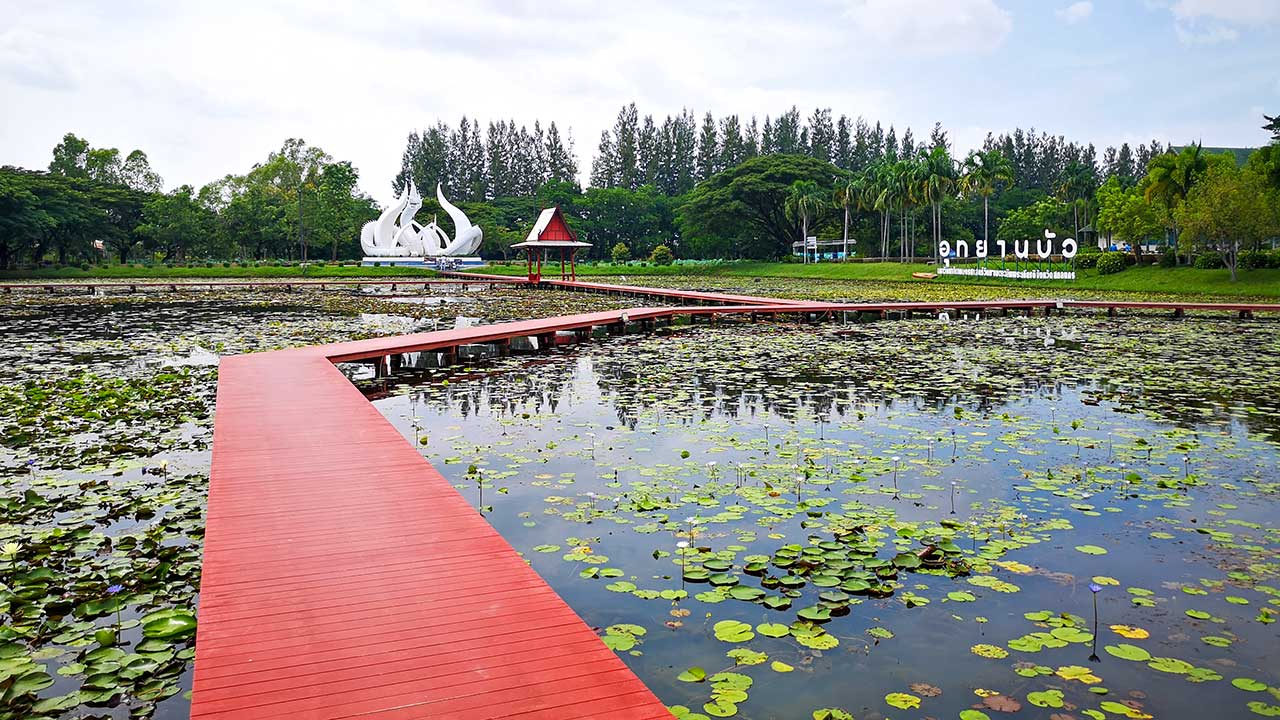 Der Lotussee, eine der Sehenswürdigkeiten von Sakon Nakhon