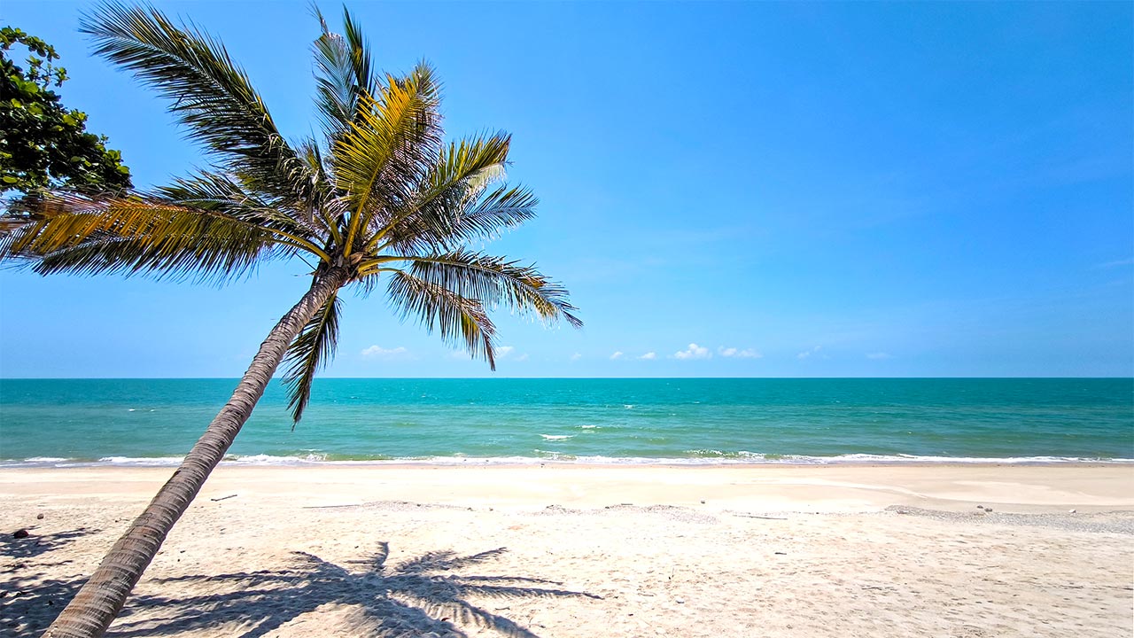 Der ruhige und einsame Khanom Beach mit einer Palme