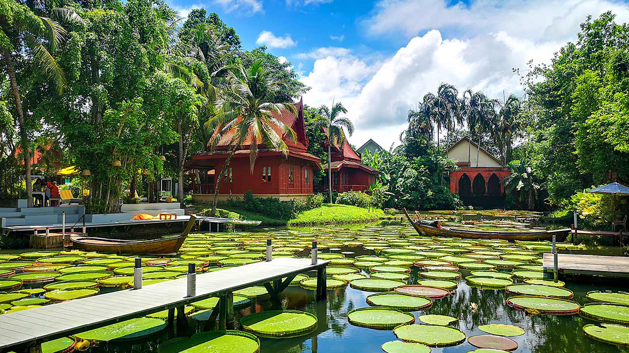 Der Lotusblütenteich des Ma Doo Bua in Phuket