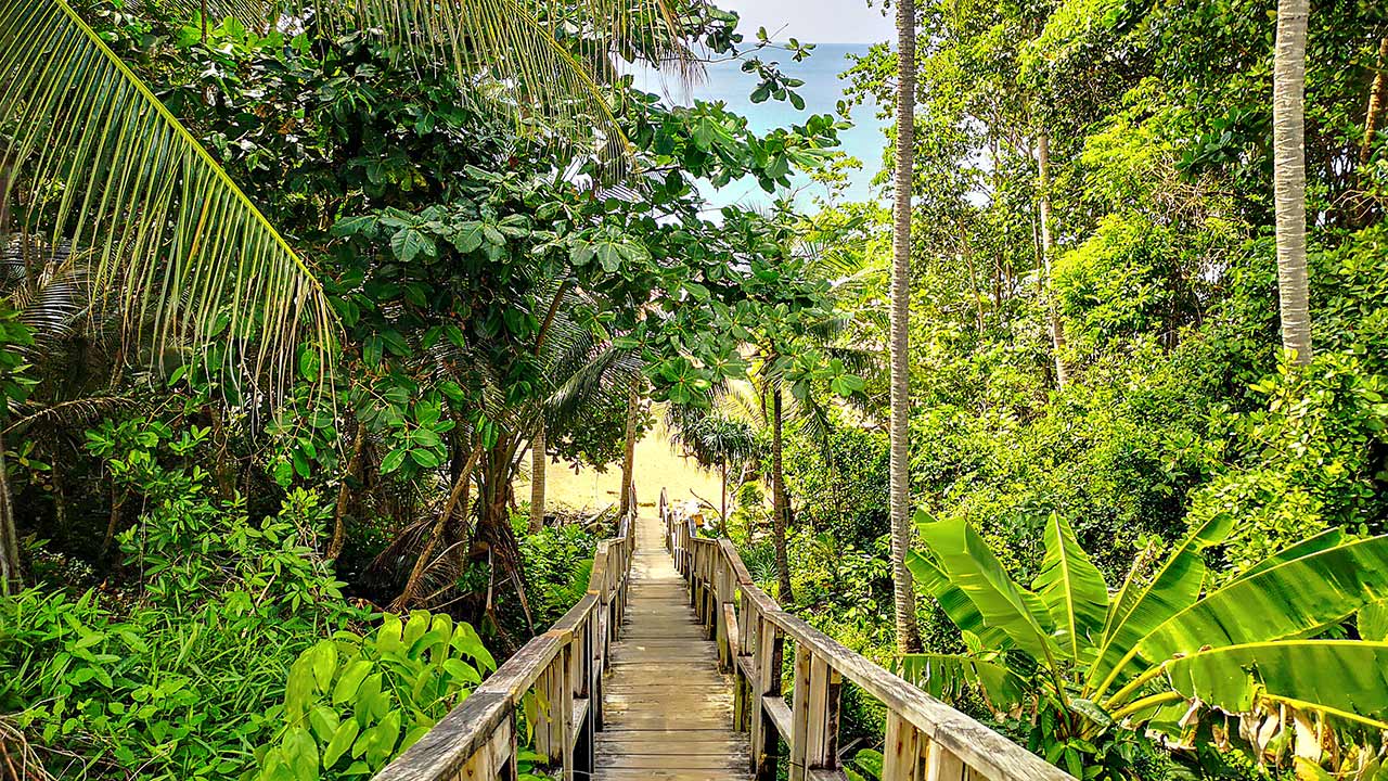 Die Naithon Wooden Bridge auf der Phuket Rollertour