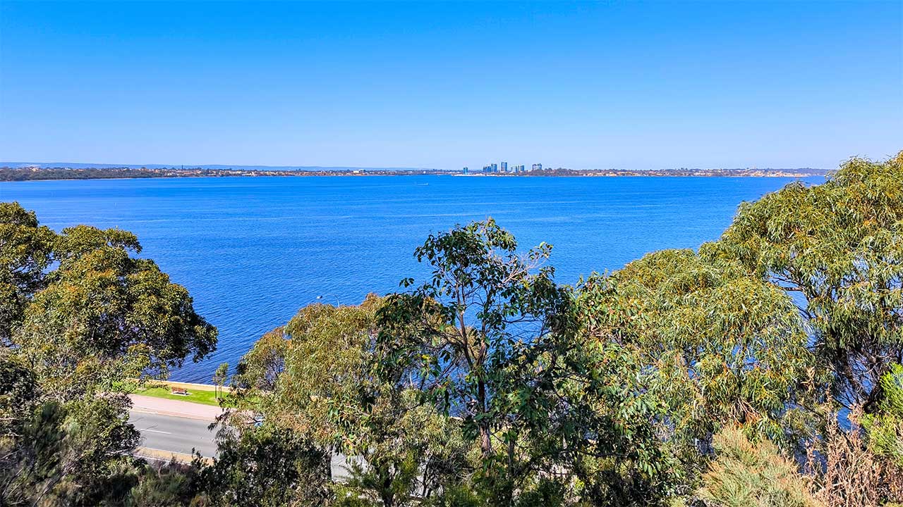 Der ruhige Dryandra-Lookout, im Süden des Kings Park von Perth