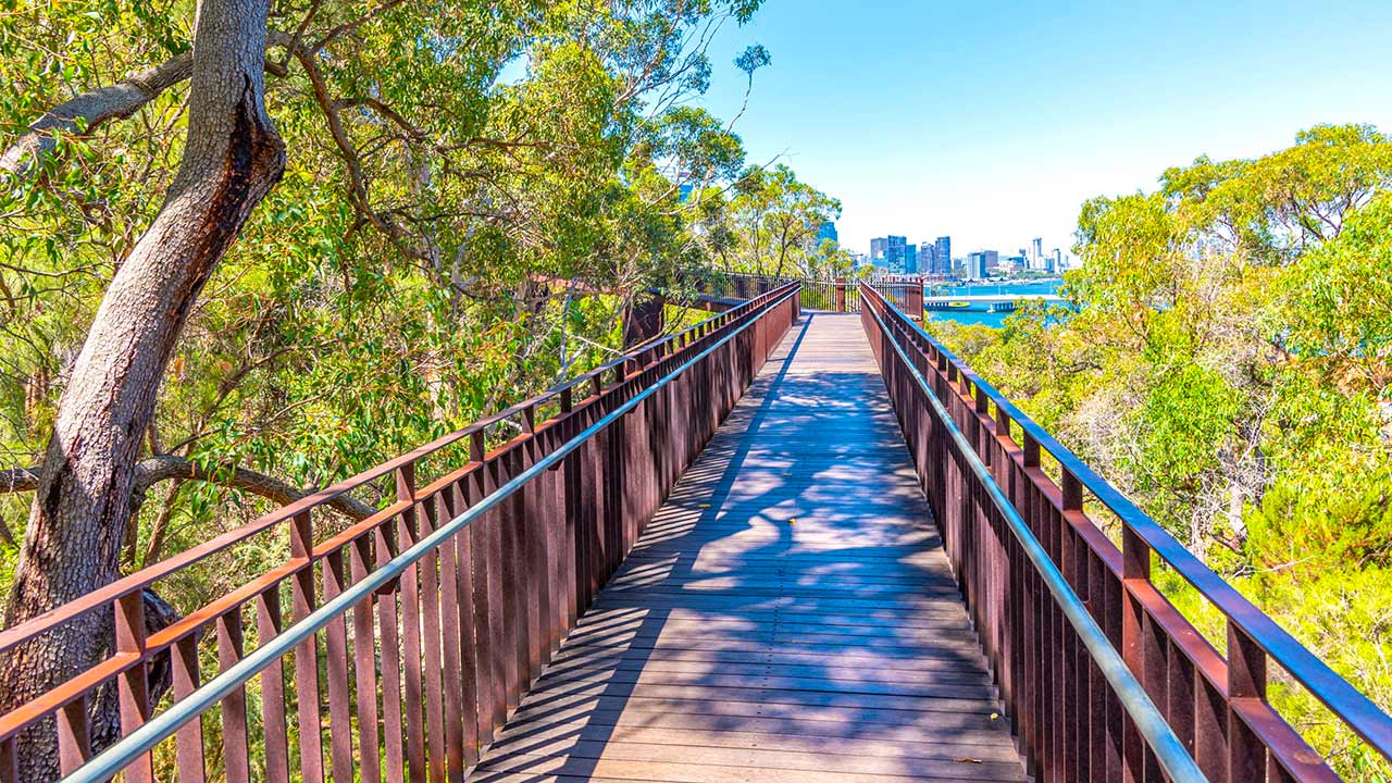 Der erhöhte Pfad des Lotterywest Federation Walkway, Perth