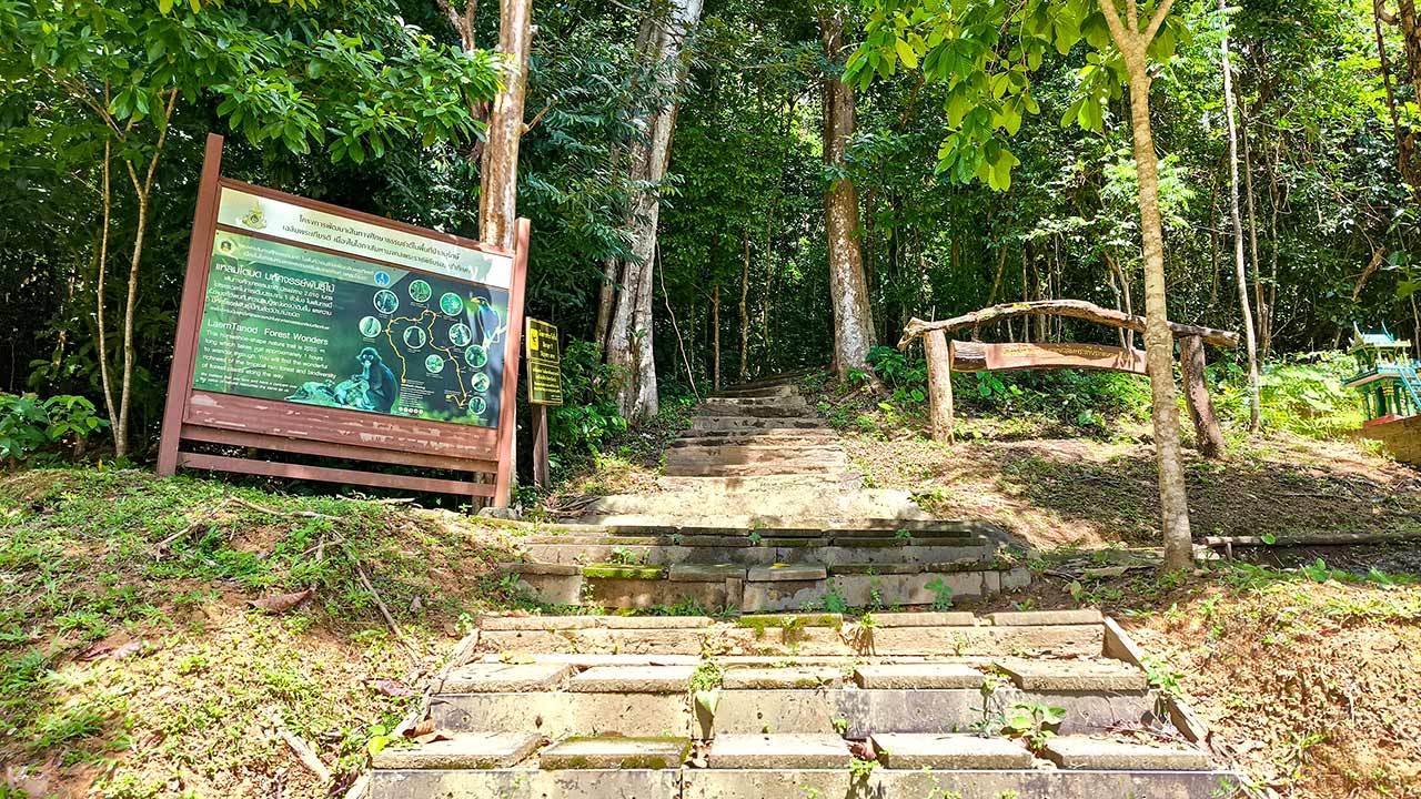 Wanderungen im Nationalpark von Koh Lanta